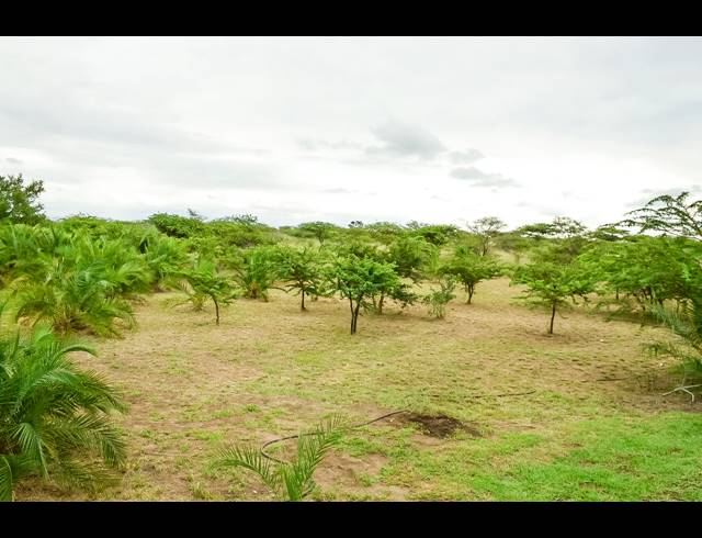 100HA FARM FOR SALE IN ESHOWE RURAL